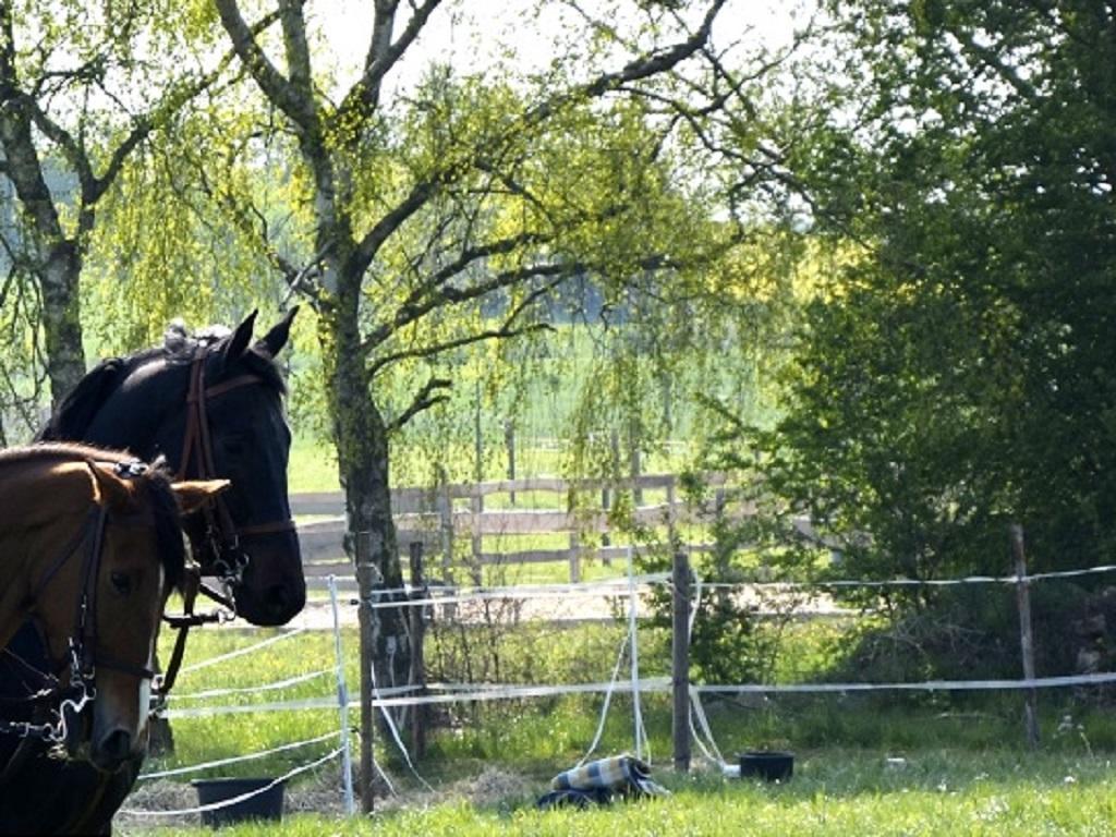 Old West Ranch 